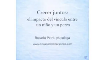 rosario 12