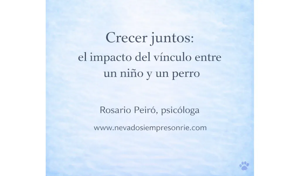 rosario 12