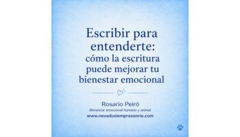 rosario 13
