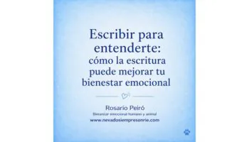 rosario 13