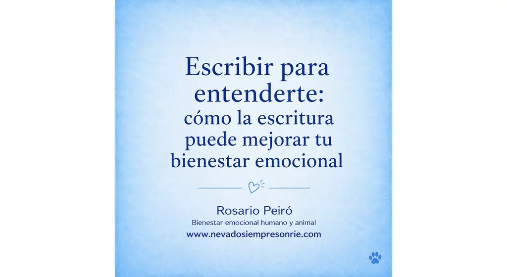 rosario 13