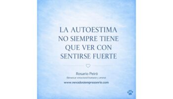 rosario 15