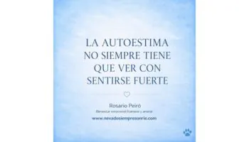 rosario 15