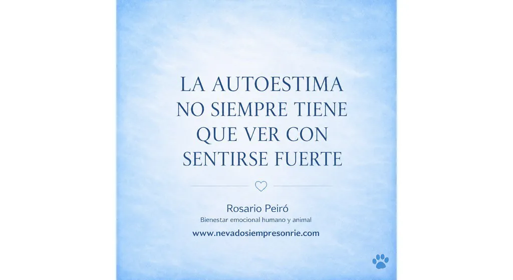 rosario 15
