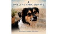 huellas para siempre caudete digital