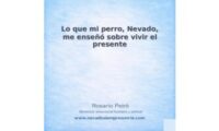 rosario 16