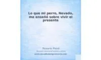 rosario 16