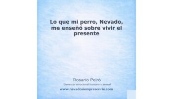 rosario 16