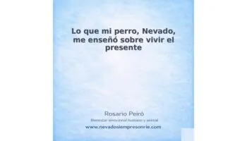 rosario 16