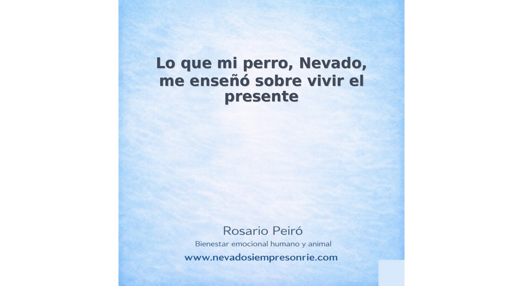 rosario 16