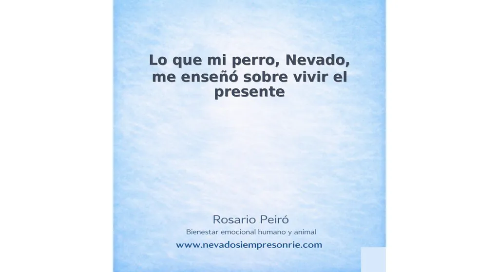 rosario 16