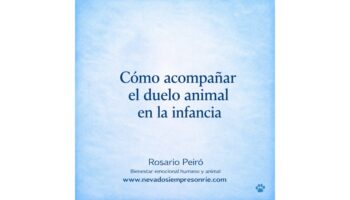 duelo animal