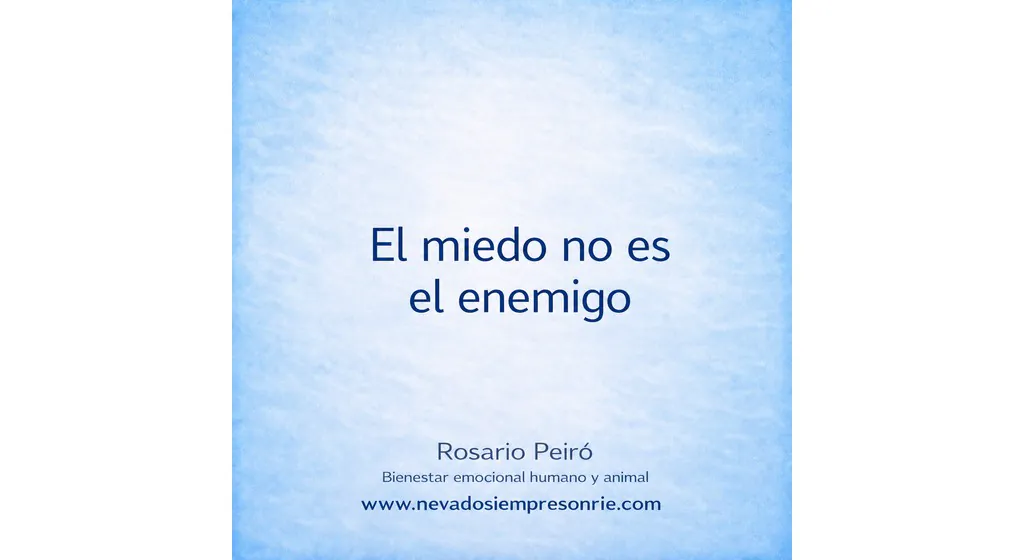 miedo