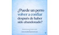 abandonado
