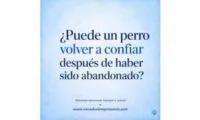 abandonado