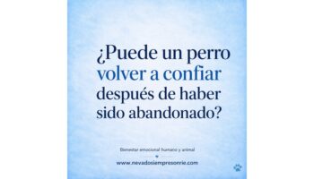 abandonado