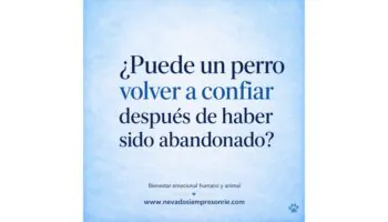 abandonado
