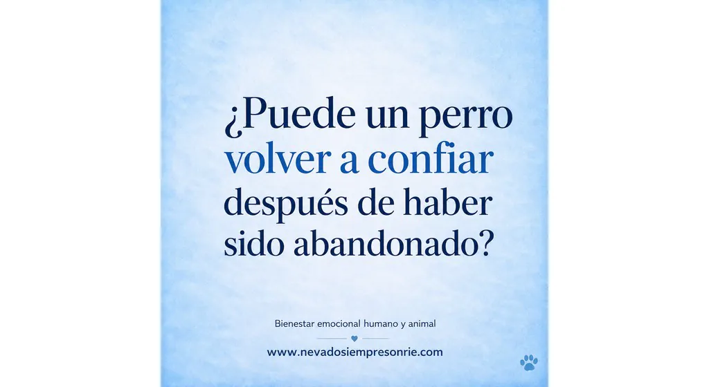 abandonado