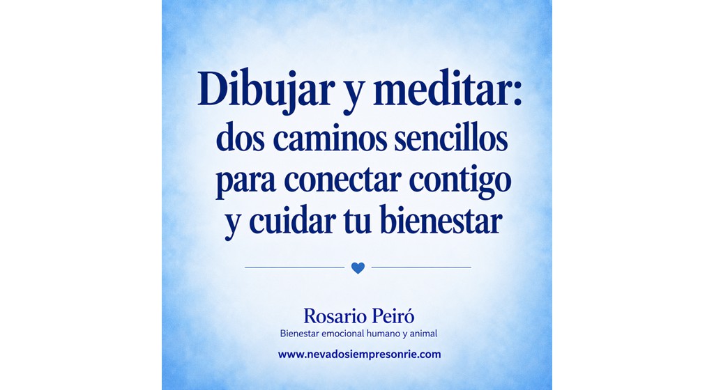 dibujar y meditar