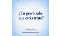 perro tristeza