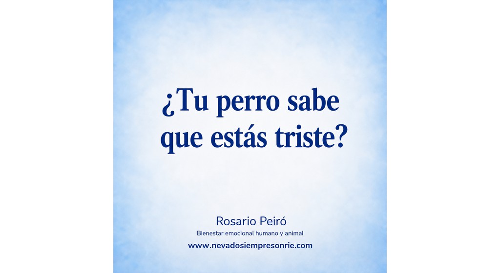 perro tristeza
