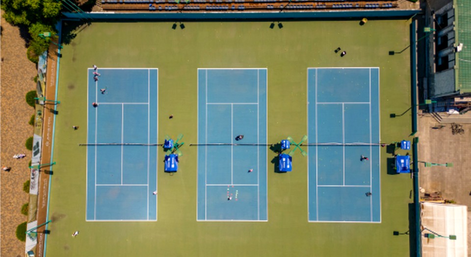 tenis