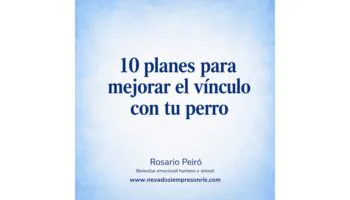 10 planes