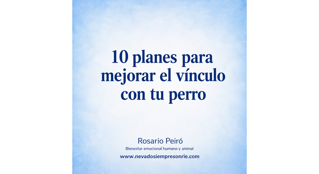 10 planes