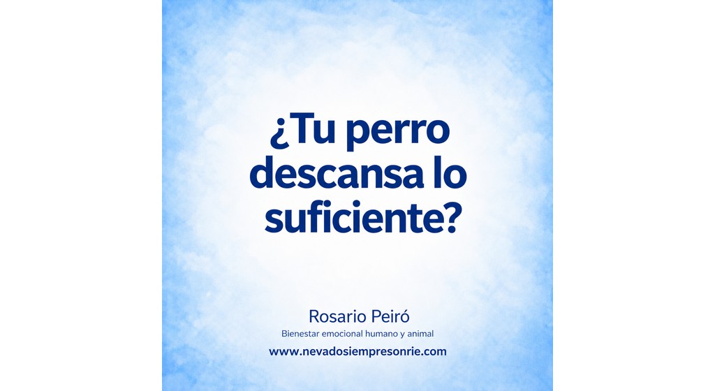 descanso de perros