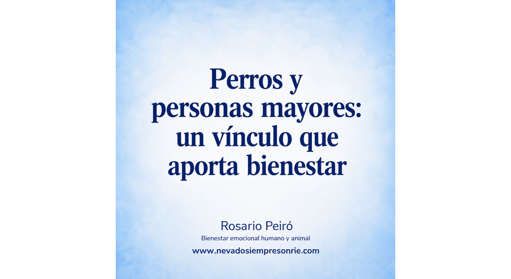 perros y personas mayores