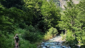 IMG 20230702 WA0142