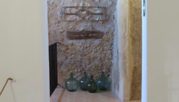IMG 1336
