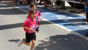 IMG 2015