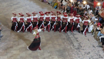 IMG 3519