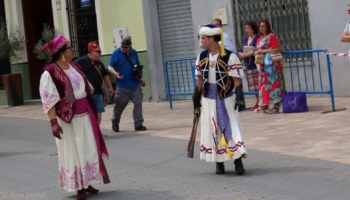 IMG 4024
