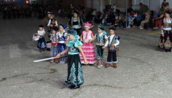 IMG 4557