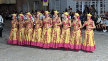 IMG 4564