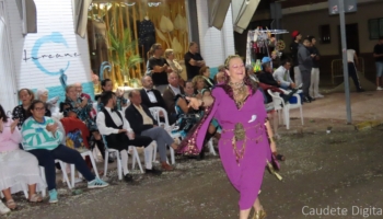 IMG 7088