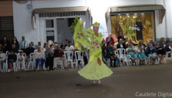 IMG 7229