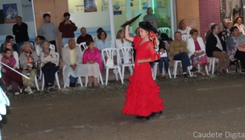IMG 7282