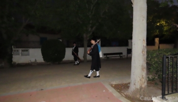 IMG 7420