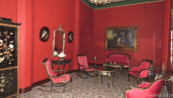 IMG 7514
